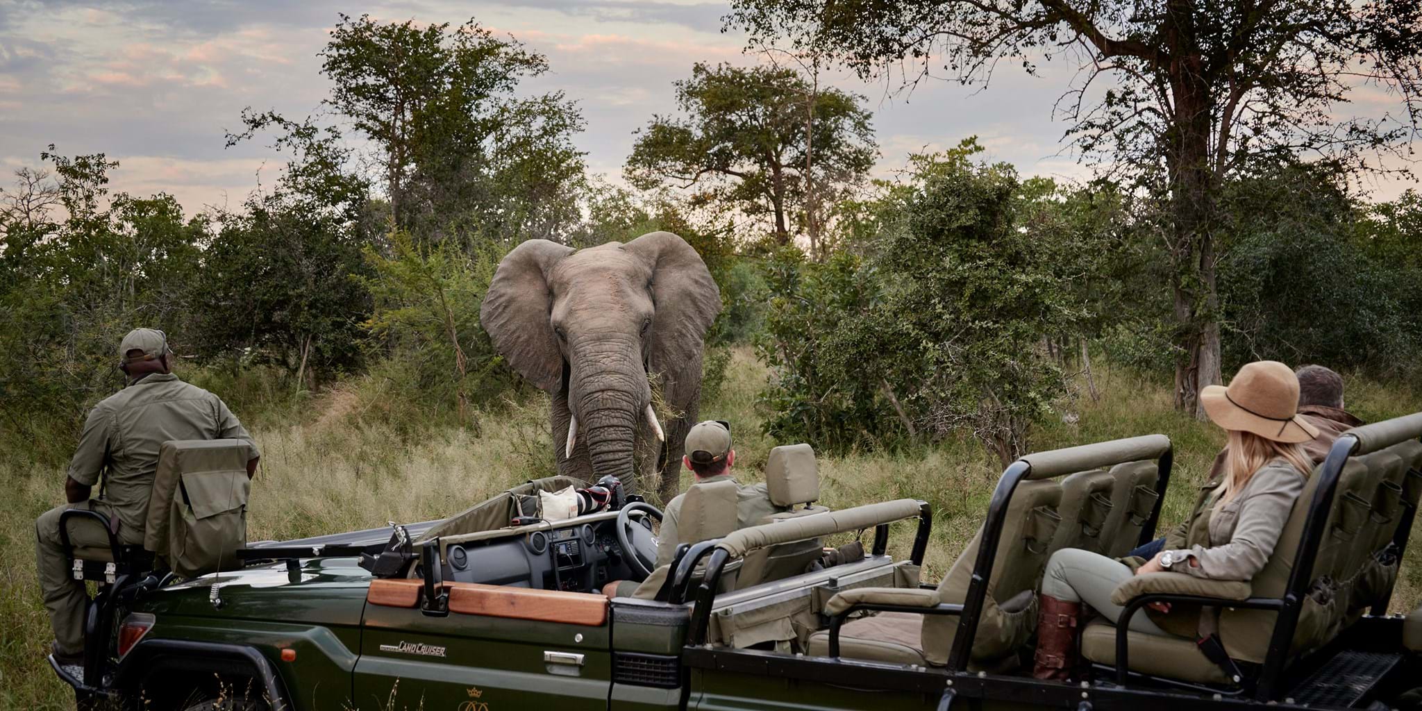Tanzania Big Five safari wildlife